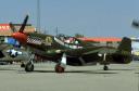 P51-B