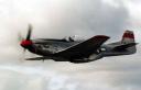 P51-D