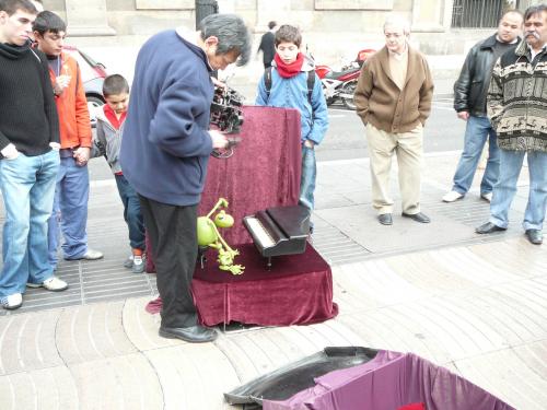Rana pianista 4