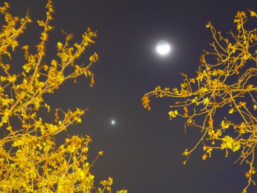 Conjunción Luna/Venus. Foto sacada con 15 segundos de tiempo de exposición
