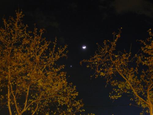 Conjunción Luna/Venus. Foto 1