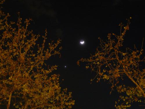 Conjunción Luna/Venus. Foto 2