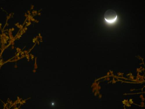 Conjunción Luna/Venus. Foto 4