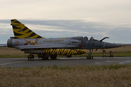 Artic tiger meeting