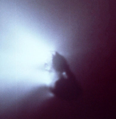 halley-1
